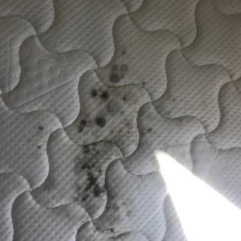 Çilek Mobilya Yatak Deformasyonu, Ürünlerinin Arkasında Durmuyorlar