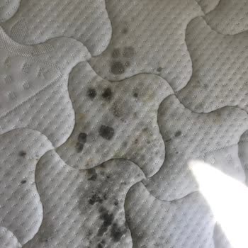 Çilek Mobilya Yatak Deformasyonu, Ürünlerinin Arkasında Durmuyorlar