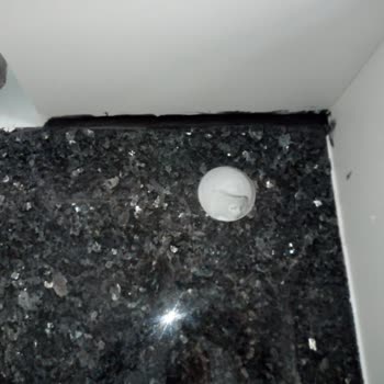 Lineadecor Mutfak 2021'de Sözleşme 2023'e Geldik Hala Tamamlanmadı