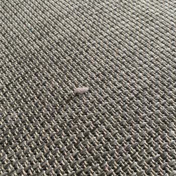 Beko Robot Süpürge Hiç İyi Çalışmıyor