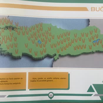 Benim Hocam Yayınevi Bayram Meral Haritalarla Coğrafya Kitabı Eksik - Yanıltıcı Bilgi Dolu