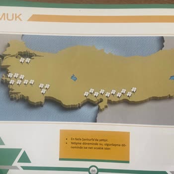 Benim Hocam Yayınevi Bayram Meral Haritalarla Coğrafya Kitabı Eksik - Yanıltıcı Bilgi Dolu