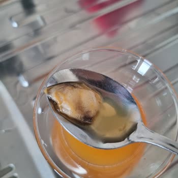 Dimes Gıda Meyve Suyunun İçinden Çıkan Küflü Doku