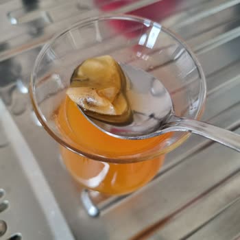 Dimes Gıda Meyve Suyunun İçinden Çıkan Küflü Doku