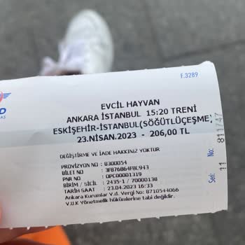 YHT (Yüksek Hızlı Tren) Evcil Hayvanım İçin Bilet Kesmesine Rağmen Koltuk Vermemesi