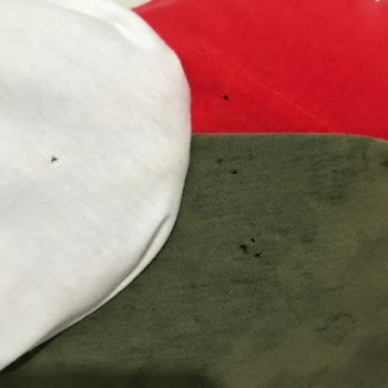 Bosch Çamaşır Makinesi Yırtma Sorunu