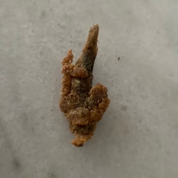 Karaburun Balık Evi Taş Gibi Hamsi Beyaz Pişmemiş Kalamar