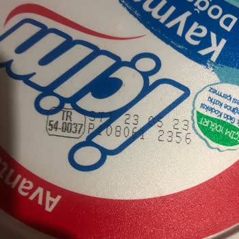 İçim Yoğurt Küf Ve Bozuk Kokuyor