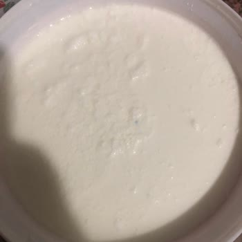 İçim Yoğurt Küf Ve Bozuk Kokuyor