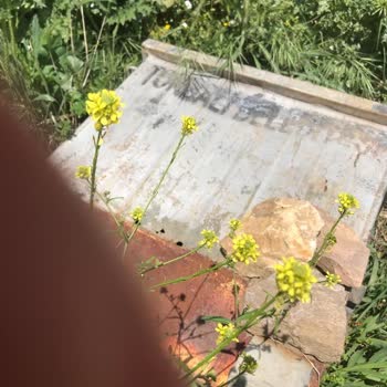 Torbalı Belediyesi Arazimize Atılmış Çöp Konteyneri Kaldırılmıyor