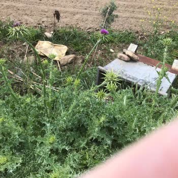 Torbalı Belediyesi Arazimize Atılmış Çöp Konteyneri Kaldırılmıyor