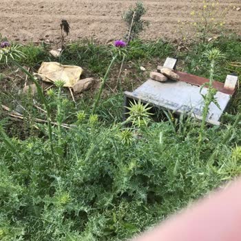 Torbalı Belediyesi Arazimize Atılmış Çöp Konteyneri Kaldırılmıyor