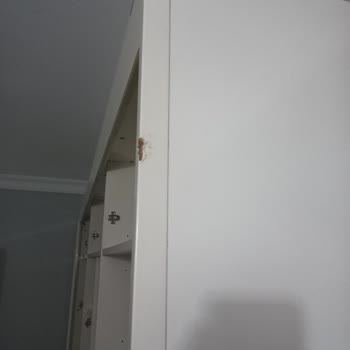 Hasipoğlu Evden Eve Nakliyat Nakliye Sıkıntısı Zararım Çok Var