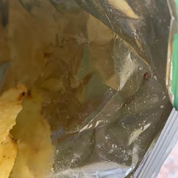 Lays Mevsim Yeşillikli Cipsten Böcek Çıktı