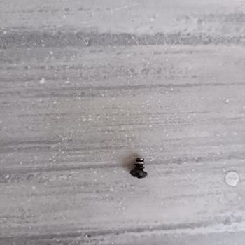 Rookie Bisiklet & Scooter Vidası Çok Küçük