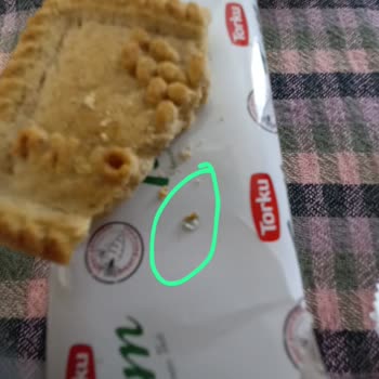 Torku Hijyenik Olmayan Ürün