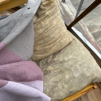 Kuzey Dağ Evleri Çok Kötü Bir Yer