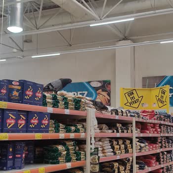 Orion2 AVM / 5M Migros Güvercin Dolu