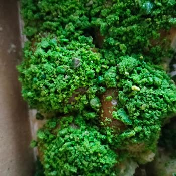 Bilgin Baklava'dan Müşteri Memnuniyetini Umursamazlık