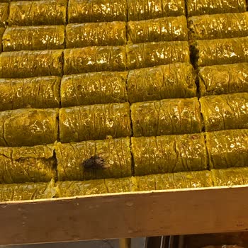 Mado Kara Sineklerle Kaplı Baklava
