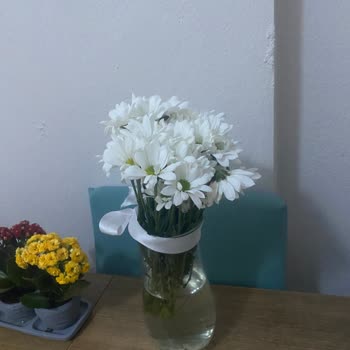 ÇiçekSepeti Mağduriyet Üzüntü Jj