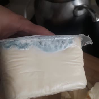 Özışık Süt Ürünleri Özışık Küflü Tost Kasar Peyniri