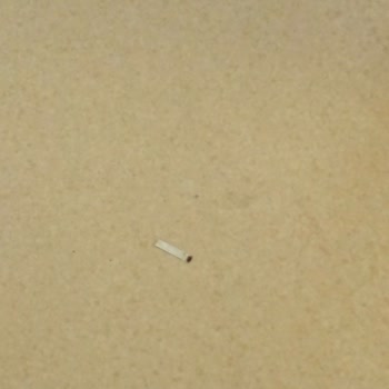 Samsun Gazi Devlet Hastanesi İlgi Ve Hasta İle Kötü Diyalog