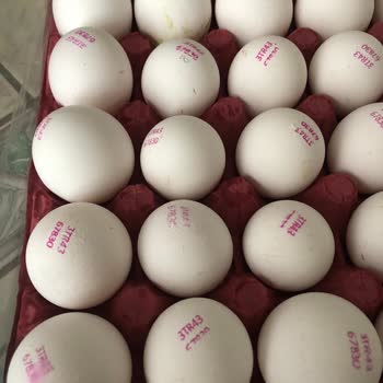 Net Gross L Boyuttaki Paketinde Küçük Yumurtalar Konması