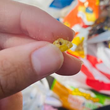 Mini Cheetos İçinden Böcek Çıktı