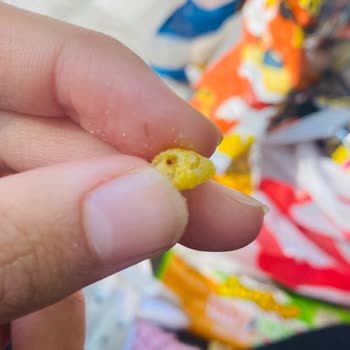 Mini Cheetos İçinden Böcek Çıktı