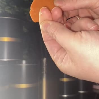 Rapoli Trend Atölyesi Oyun Hamurundan Cam Çıktı