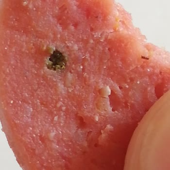 Lezita Sucuğun İçindeki Yeşil Şey!