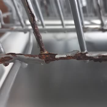 Siemens Bulaşık Makinesi Sepetleri Paslanmaktan Kullanılamaz Durumda