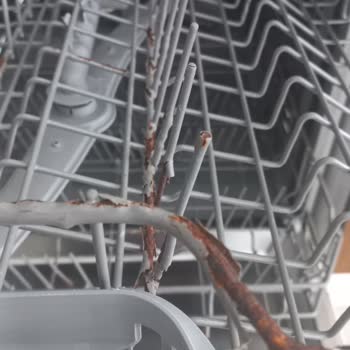 Siemens Bulaşık Makinesi Sepetleri Paslanmaktan Kullanılamaz Durumda