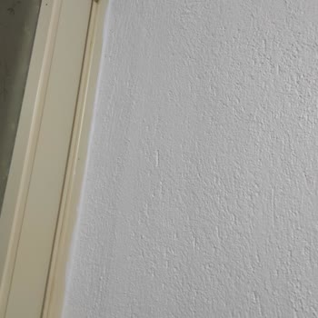 Dyo Boya Yeni Beliz Renk Uyuşmazlığı