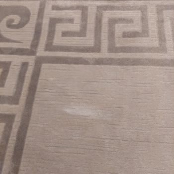 Rossmann Domol Marka Leke Çıkarıcı