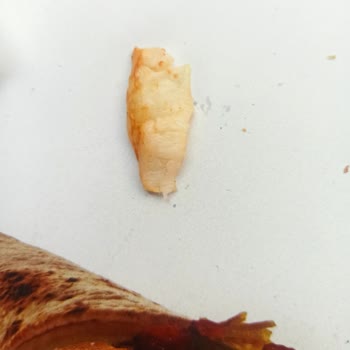 Usta Dönerci Çiğ Tavuk Çıktı