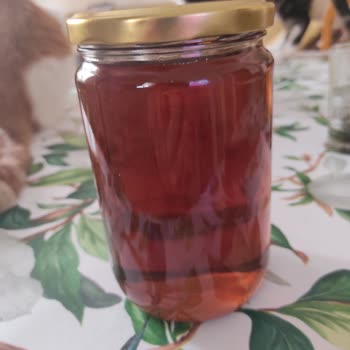 Esme Sultan Şile Kestane Balı, Kestane Balı Değil!