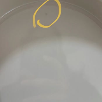 Porland Chopin Serisi Çok Defolu.