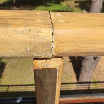 Tiny Life House Tiny Life Güncelleme