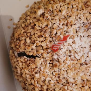 Mado Kesilmiş Ve Mumları Üstünde Pasta Yolladı