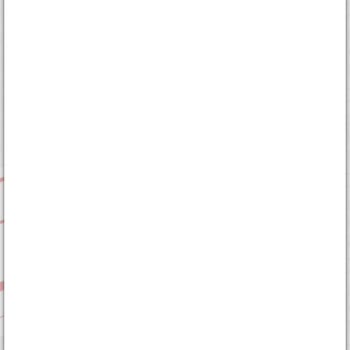 Diyanet İşleri Başkanlığı Şikayet Ve Mağduriyet