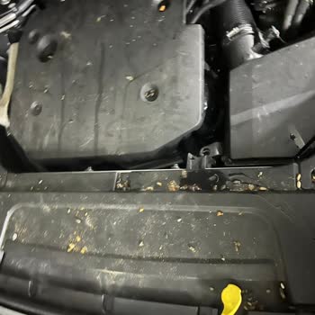 Volvo Xc 90 Araç Motoruna Giren Fare