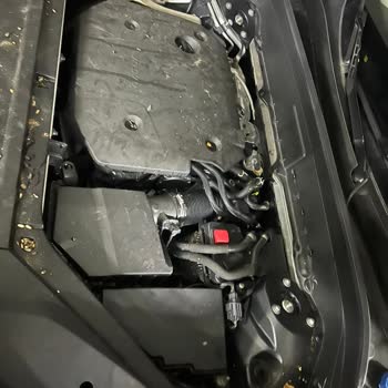 Volvo Xc 90 Araç Motoruna Giren Fare