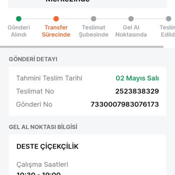 Trendyol Express İsimli At Arabası