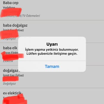 ING Bank Otomatik Ödeme Zorunluluğu