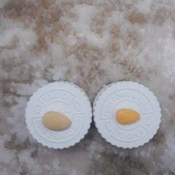 Bursaeczanesi.net İstenilen Ürün Gelmiyor