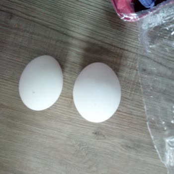 Ali Baba'nın Bahçesi Paketten Çıkan Yumurtanın Boyutları Çok Küçük Ve Hepsi Farklı Boyda