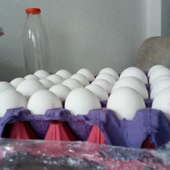 Ali Baba'nın Bahçesi Paketten Çıkan Yumurtanın Boyutları Çok Küçük Ve Hepsi Farklı Boyda