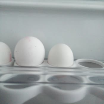 Ali Baba'nın Bahçesi Paketten Çıkan Yumurtanın Boyutları Çok Küçük Ve Hepsi Farklı Boyda